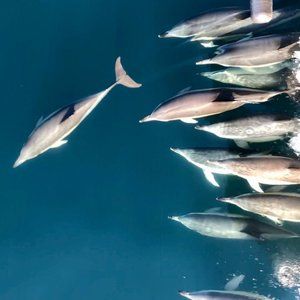 Meet your Posher, Cathryn